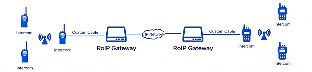 ROIP-Gateway Fernnetzwerk und Interkonnektivität
